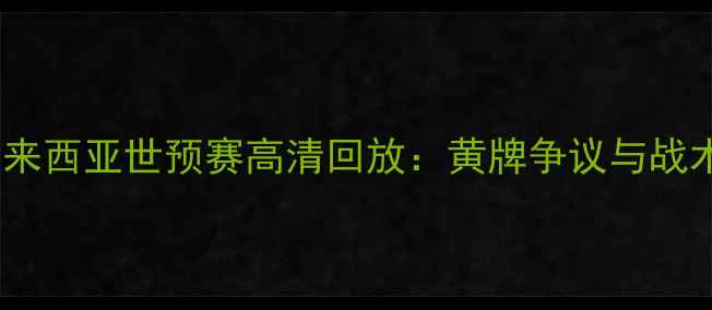 图片 越南VS马来西亚世预赛高清回放：黄牌争议与战术博弈全1