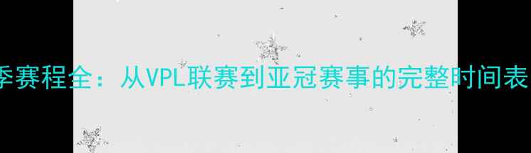 图片 越南球队赛季赛程全：从VPL联赛到亚冠赛事的完整时间表与观赛指南2