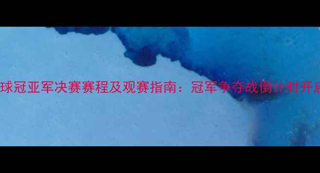 图片 足球冠亚军决赛赛程及观赛指南：冠军争夺战倒计时开启2