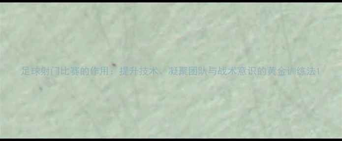 图片 足球射门比赛的作用：提升技术、凝聚团队与战术意识的黄金训练法1
