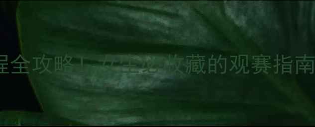 图片 足球比赛主场赛程全攻略！女生必收藏的观赛指南（附避坑指南）2