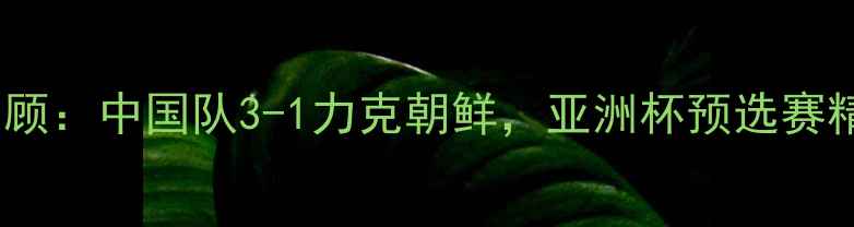 图片 足球比赛回顾：中国队3-1力克朝鲜，亚洲杯预选赛精彩瞬间✨1