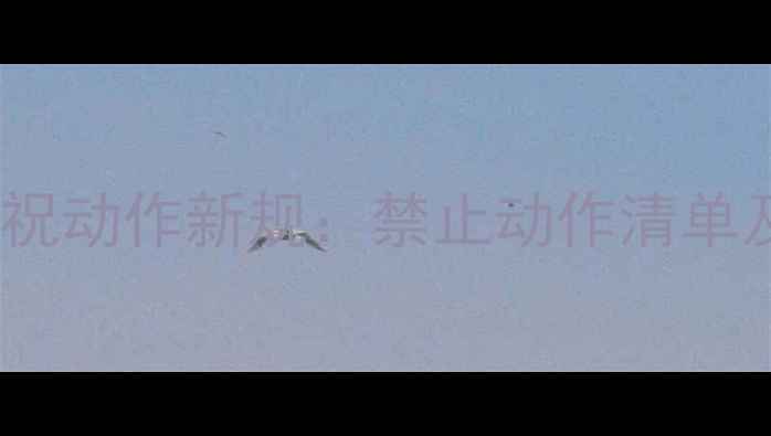 图片 足球比赛庆祝动作新规：禁止动作清单及违规处罚1
