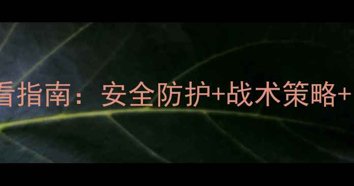 图片 足球比赛必看指南：安全防护+战术策略+装备清单全2