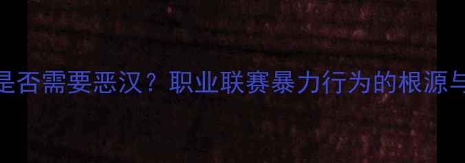 图片 足球比赛是否需要恶汉？职业联赛暴力行为的根源与改革方向