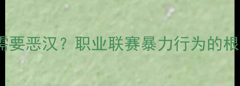 图片 足球比赛是否需要恶汉？职业联赛暴力行为的根源与改革方向1