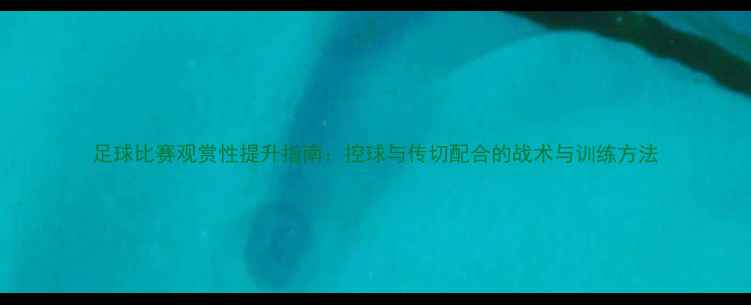 图片 足球比赛观赏性提升指南：控球与传切配合的战术与训练方法