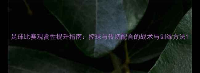 图片 足球比赛观赏性提升指南：控球与传切配合的战术与训练方法1