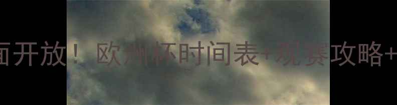 图片 足球赛事全面开放！欧洲杯时间表+观赛攻略+购票指南全2
