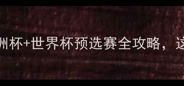 图片 足球赛程大公开！欧洲杯+世界杯预选赛全攻略，这份观赛指南你必看！