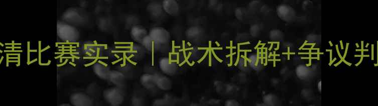 图片 足球迷必看李娜VS纳瓦罗高清比赛实录｜战术拆解+争议判罚还原｜附5分钟精华集锦1
