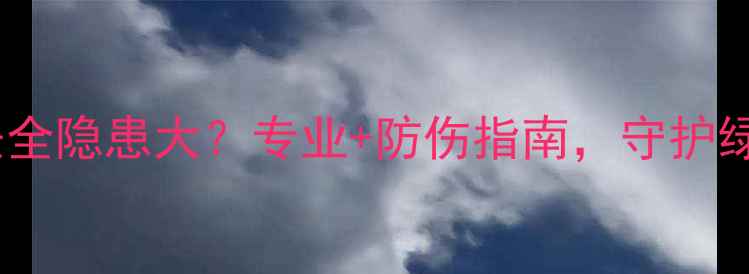图片 足球鞋钉安全隐患大？专业+防伤指南，守护绿茵场安全2