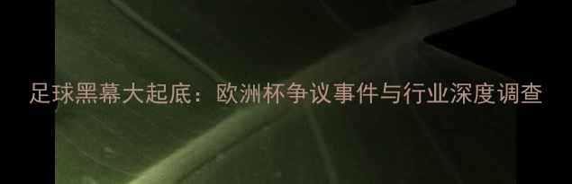 图片 足球黑幕大起底：欧洲杯争议事件与行业深度调查