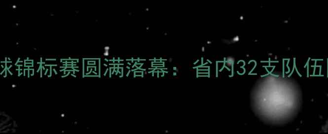 图片 辽宁省青少年足球锦标赛圆满落幕：省内32支队伍同场竞技展锋芒2