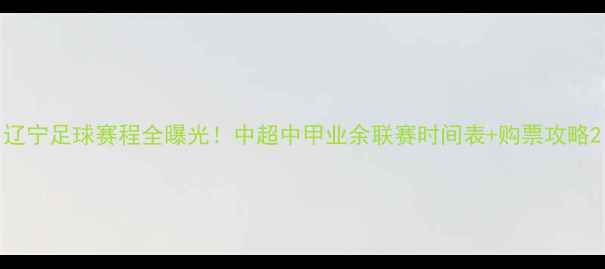 图片 辽宁足球赛程全曝光！中超中甲业余联赛时间表+购票攻略2