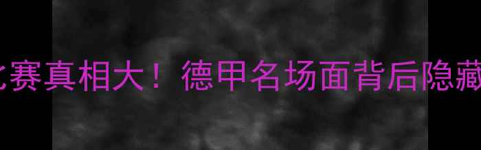 图片 达姆施塔中断比赛真相大！德甲名场面背后隐藏的三大争议点2