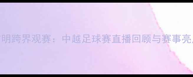 图片 邹市明跨界观赛：中越足球赛直播回顾与赛事亮点全