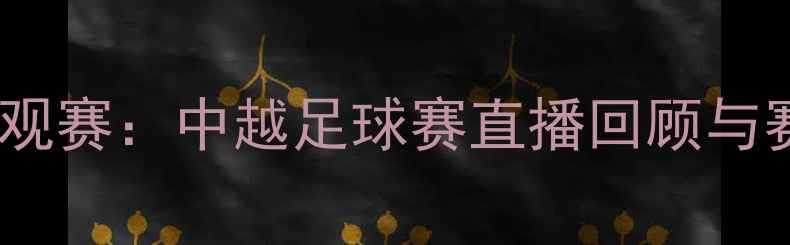 图片 邹市明跨界观赛：中越足球赛直播回顾与赛事亮点全1