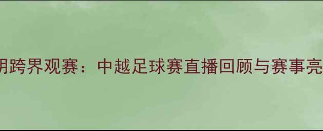 图片 邹市明跨界观赛：中越足球赛直播回顾与赛事亮点全2