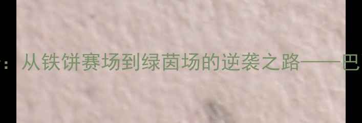 图片 里约热内卢足球传奇：从铁饼赛场到绿茵场的逆袭之路——巴西足球青训体系深度
