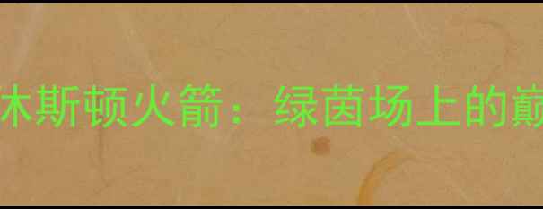 图片 重磅！达拉斯独行侠FCVS休斯顿火箭：绿茵场上的巅峰对决！全网首曝赛事全