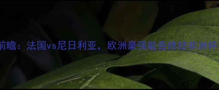 图片 非洲杯决赛前瞻：法国vs尼日利亚，欧洲豪强能否终结非洲杯无冠历史？2