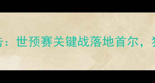 图片 韩国vs波黑高清直击：世预赛关键战落地首尔，独家比赛场地及看点