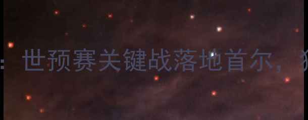 图片 韩国vs波黑高清直击：世预赛关键战落地首尔，独家比赛场地及看点1