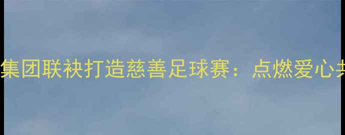 图片 首尔FC与衣恋集团联袂打造慈善足球赛：点燃爱心共筑足球未来1