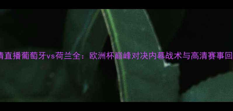 图片 高清直播葡萄牙vs荷兰全：欧洲杯巅峰对决内幕战术与高清赛事回放1