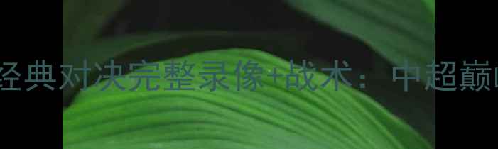 图片 鲁能vs富力经典对决完整录像+战术：中超巅峰之战回顾2