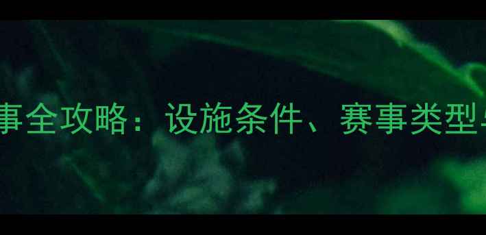 图片 鸟巢举办足球赛事全攻略：设施条件、赛事类型与经济效益分析2