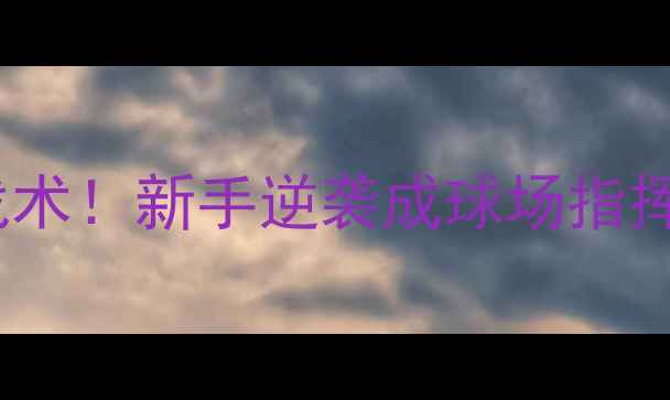 图片 🌟10个必学足球战术！新手逆袭成球场指挥官的入门指南🌟2