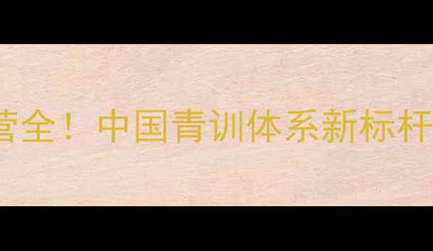 图片 🌟NDA足球青训营全！中国青训体系新标杆，你了解多少？