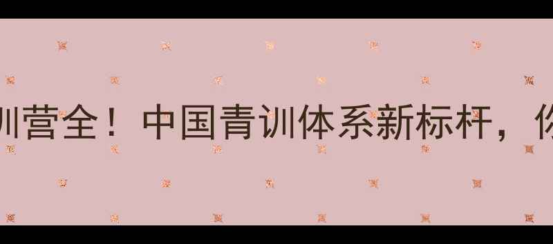 图片 🌟NDA足球青训营全！中国青训体系新标杆，你了解多少？2