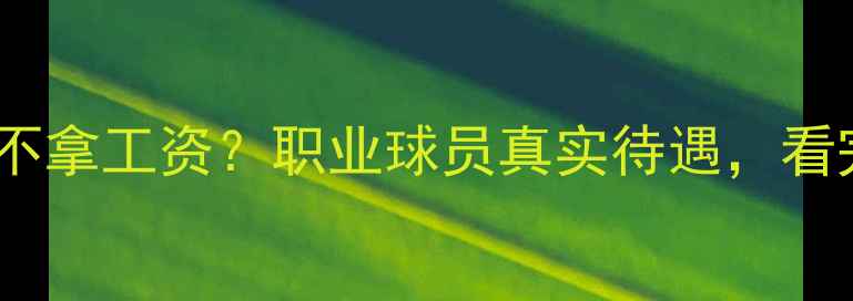 图片 🌟国足比赛为何不拿工资？职业球员真实待遇，看完颠覆认知！🌟1