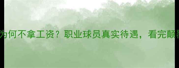 图片 🌟国足比赛为何不拿工资？职业球员真实待遇，看完颠覆认知！🌟2