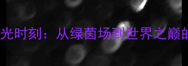 图片 🌟姚明足球高光时刻：从绿茵场到世界之巅的传奇故事🌟1