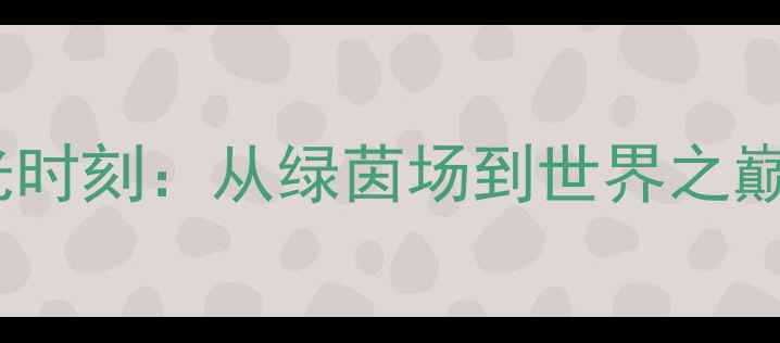 图片 🌟姚明足球高光时刻：从绿茵场到世界之巅的传奇故事🌟2