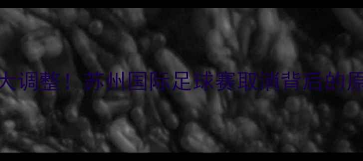 图片 🌟苏州足球赛事大调整！苏州国际足球赛取消背后的原因与未来展望🌟