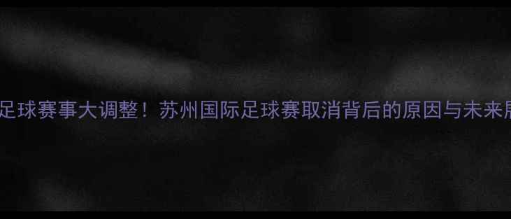图片 🌟苏州足球赛事大调整！苏州国际足球赛取消背后的原因与未来展望🌟1