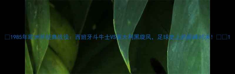 图片 🏆1985年欧洲杯经典战役：西班牙斗牛士VS意大利黑旋风，足球史上的巅峰对决！🔥⚽1