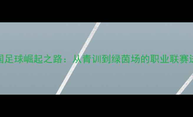 图片 🏆中国足球崛起之路：从青训到绿茵场的职业联赛进化论