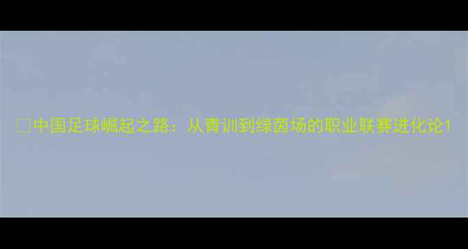 图片 🏆中国足球崛起之路：从青训到绿茵场的职业联赛进化论1