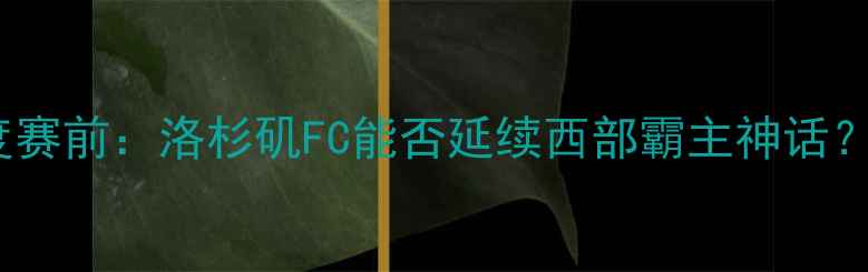 图片 🏆华盛顿联VS洛杉矶FC深度赛前：洛杉矶FC能否延续西部霸主神话？历史交锋+战术布局全公开