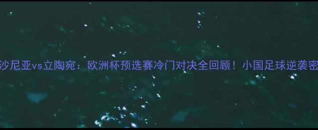 图片 🏆爱沙尼亚vs立陶宛：欧洲杯预选赛冷门对决全回顾！小国足球逆袭密码大