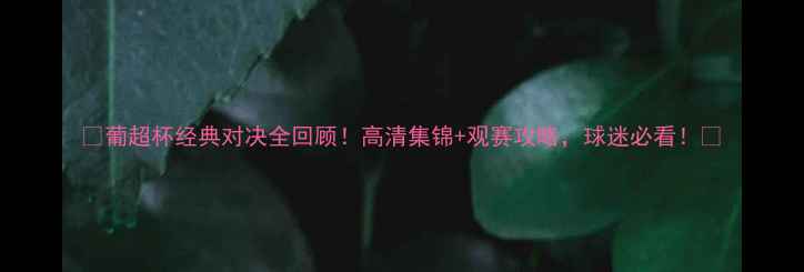 图片 🏆葡超杯经典对决全回顾！高清集锦+观赛攻略，球迷必看！🔥