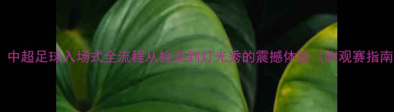 图片 🏆！中超足球入场式全流程从检录到灯光秀的震撼体验（附观赛指南）1