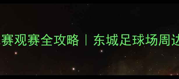 图片 🏟️东莞足球赛观赛全攻略｜东城足球场周边打卡指南🔥1