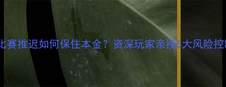 图片 💥足球比赛推迟如何保住本金？资深玩家亲授5大风险控制技巧1
